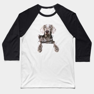 Weimaraner Baseball T-Shirt